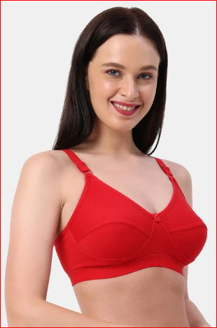 Buy Camaleon Zuli 38C Cotton C Cup Non-Padded Full coverage Back